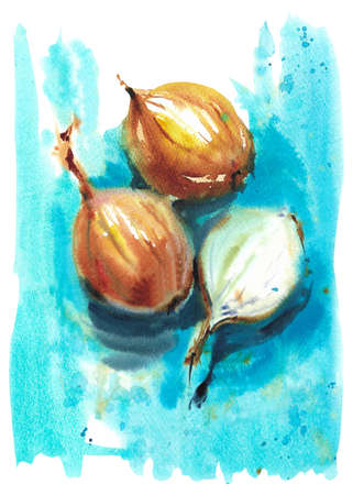 Onion watercolor illustration on white background. Golden cipolla hand draw.の写真素材