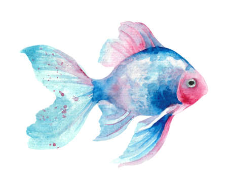 watercolor fish. Hand draw blue fish illustration isolated on white background. sea animals