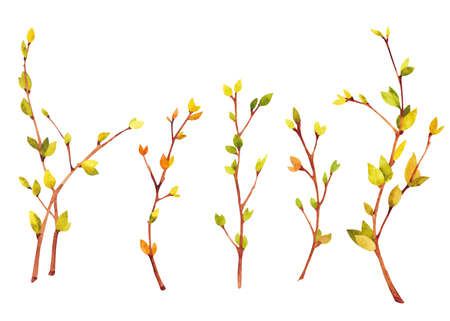 watercolor spring branch. Hand draw illustration postcard isolated on white background.の写真素材