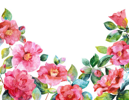 Hand drawn watercolor camellia. Collection of camellias, buds and leaves on a white background.の写真素材