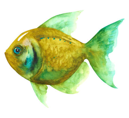 watercolor fish. Hand draw green fish illustration isolated on white background.の写真素材