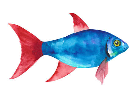 watercolor fish. Hand draw dark blue fish illustration isolated on white background.の写真素材