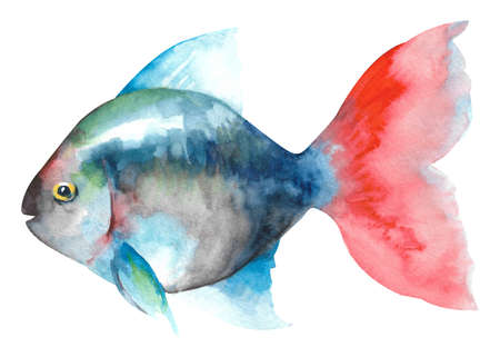 watercolor fish. Hand draw ultramarine fish illustration isolated on white background.の写真素材