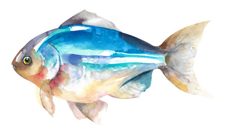 watercolor fish. Hand draw light blue fish illustration isolated on white background.の写真素材