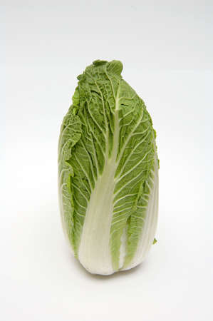 cabbageの写真素材