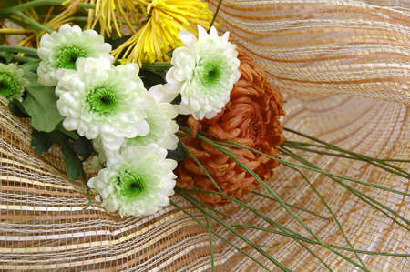 flowerの写真素材