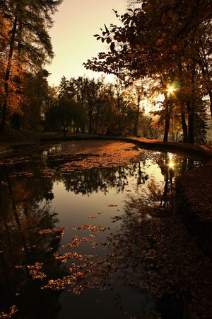 Sunset over the lakeの写真素材