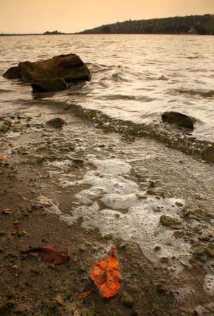 After the stormの写真素材