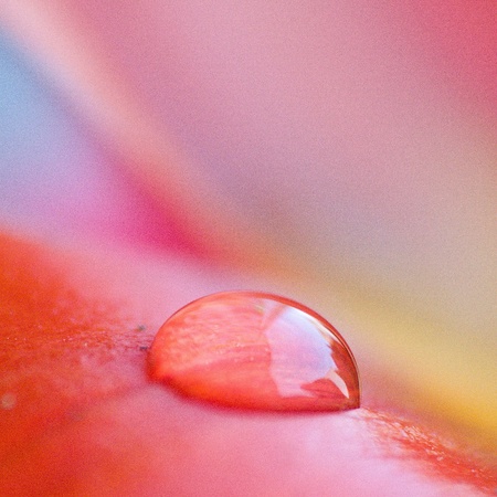 Background with a drop