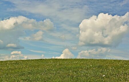 Green meadow with blue sky backgroundの写真素材
