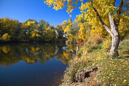Autumn season in Their bright colorsの写真素材
