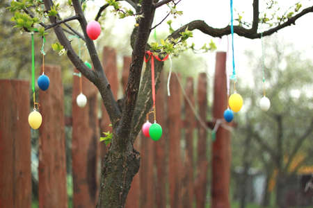 Easter decoration outside in the garden on a treeの写真素材