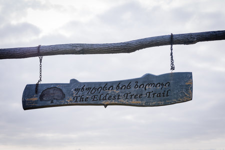 The oldest tree trail board close up in vashlovani national park.Sighseeing in caucasus