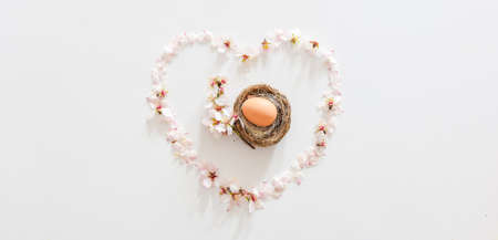 Spring daisy flowers formed heart with easter egg and daisy flower in middle. Symbolic new beginnings and newborn conceptの写真素材