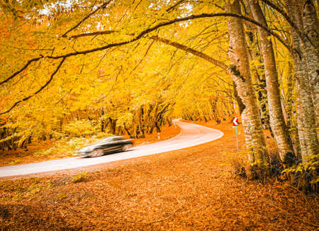 car drives in autumnの写真素材