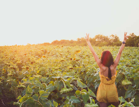 Back view beautiful brunette woman stand happy with hands up enjoy nature sunflower field outdoorsの写真素材
