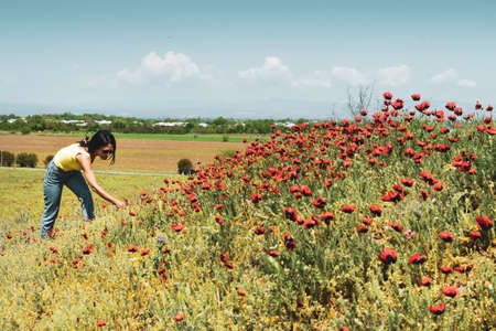Aerial circle around brunette woman enjoy nature outdoors picking wild poppy flower alone. Concept...