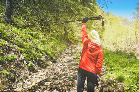 Back view determined hiker solo woman lift up nordic stick out of joy on hike up outdoors in nature.