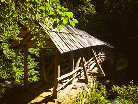 Khabelashvilebi timber reel bridge in summer. Travel destination in Adjara. Close to Batumi travel spotsの写真素材