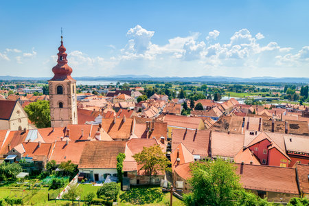 Panoramic view of Red roofs of the beautiful towns in Czech republic in summer time with green nature aroundの写真素材
