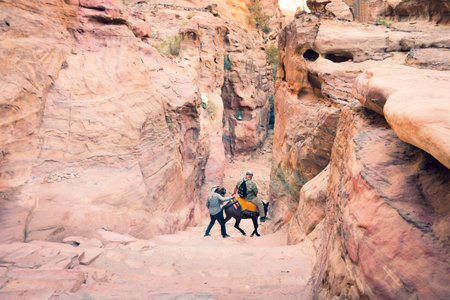 Petra, Jordan - 7th october, 2022: bedouin master with donkey take overweight Petra male visitor client downstairs from little Petra - monastery uphillのeditorial素材