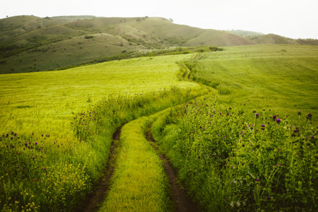 Dirt road gravel road in green countryside in caucasus. Spring time road conditions. Green grass...