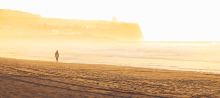 Back view young woman enjoy walking alone in the beach alone on sunsetの写真素材