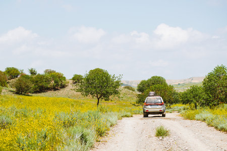 Back view 4WD vehicle drive on gravel road off-road in Vashlovani national park wilderness. Exploration tour remote outdoors in caucasus mountains in springの写真素材