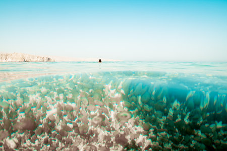 Woman swimmer swim alone in clear turquoise water beach alone enjoy relax summer vacation beach holidays in middle east Musandam. Omanの写真素材