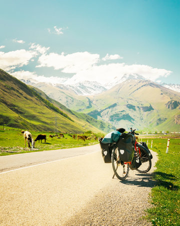 Red touring bicycle loaded with heavy gear in four pannier bags stand on side of asphalt road surrounded by summer nature and caucasus mountains background. Solo adventure travelの写真素材