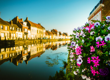 Calm L'aa river canal water with blooming flowers bouquet and line of modern traditional french architecture houses in saint-omer townの写真素材