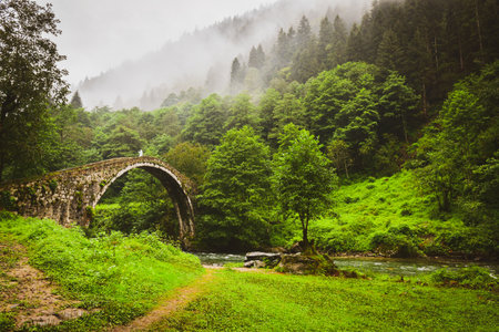 Female tourist walk on old ottoman empire bridge in Ayder , Turkey. Firtina Creek travel points of...