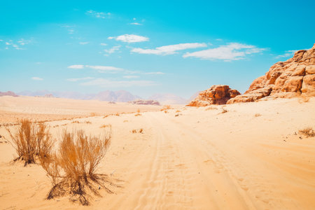 Scenic Wadi rum desert panorama in hot sunny day with car tracks on sand. Famous filming locations...