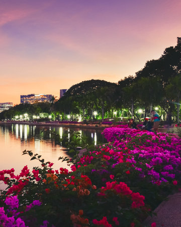 Evening view of Bangkok modern skyline reflected in the lake of Benjakitti Park, with vibrant bougainvillea flowers in the foreground and colorful sunset skyの写真素材