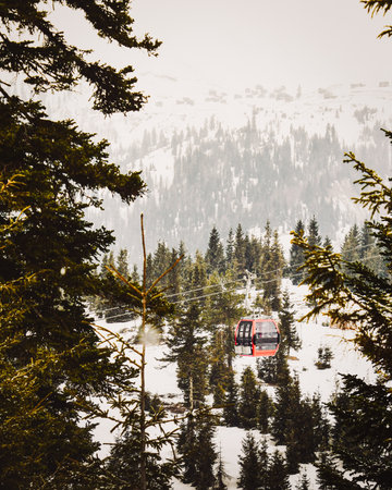 Red gondola ski cabin lift cable in fir forest in snowy winter ski resortの写真素材