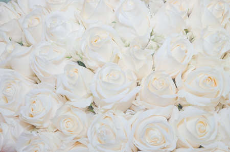 Bouquet of white roses. Top view close-up. For your design.の写真素材