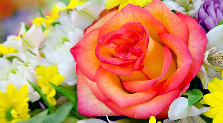 Bouquet with yellow-red rose in the center.の写真素材