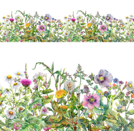 Seamless border of wildflowers and herbs. Watercolor detailed paitingの写真素材