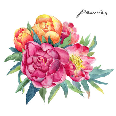 Beautiful flowers on white isolated background, Bouquet of flowers from peonies. Watercolor hand paintingの写真素材