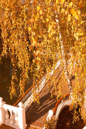 The shore of the First Lake with a view of the water surface, autumn trees and a white stone rotunda in the Star Cityの写真素材