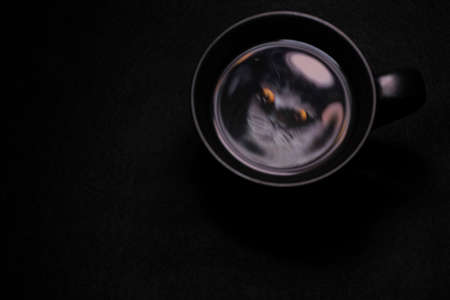 black mug on a black background with a reflection of the cat's headの写真素材