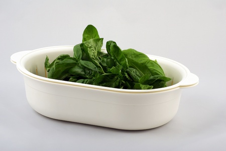 fresh basil in white kitchen bowlの写真素材