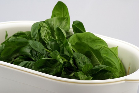 fresh basil in white bowlの写真素材