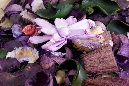 close up of colorfull flowers pot pourriの写真素材