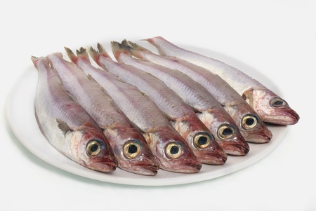 seven fresh fishes in white china dishの写真素材