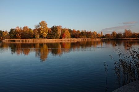 lake with calm water mirror a forest by autumnの写真素材
