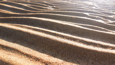 Natural textured sand on sand dunes. Sandy beach in the evening, background with lines on the sand. Close up.の写真素材