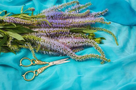 Bouquet of lilac wild flowers and scissors on blue fabric. Top viewの写真素材