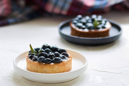Delicious blueberry tartlets with vanilla custard cream on a black and white plates  on light...