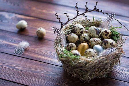 Gold, silver and spotted Quail eggs with green moss and feathers in a nest on a brown wooden table with copy space. Front view. Easter, Spring or healthy organic food concept.の写真素材